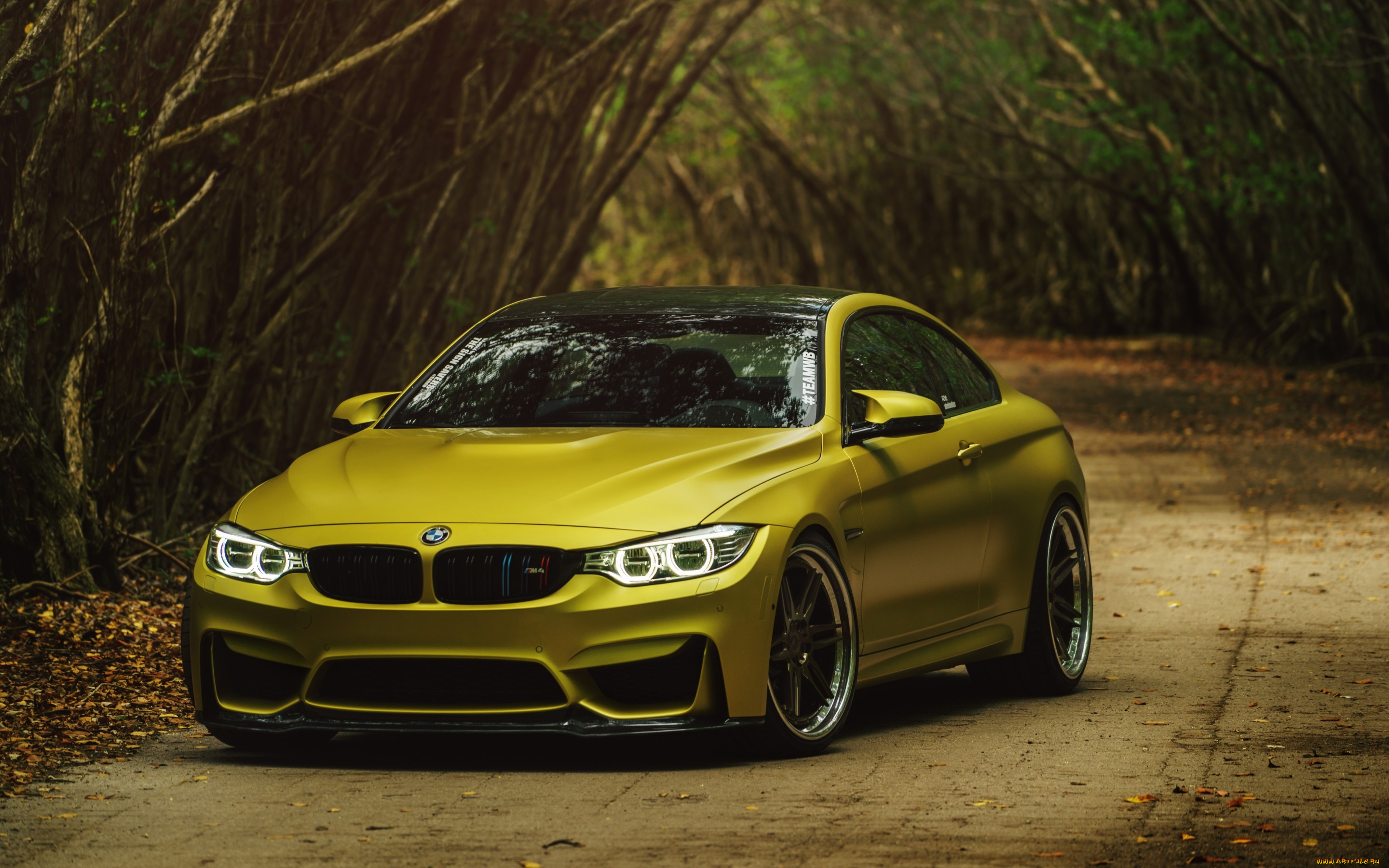 BMW m4 Headlight 4k